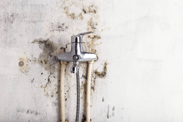 Certified Mold Removal in Plymouth, OH
