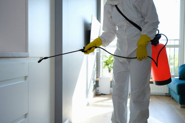 Attic Mold Removal in Plymouth, OH