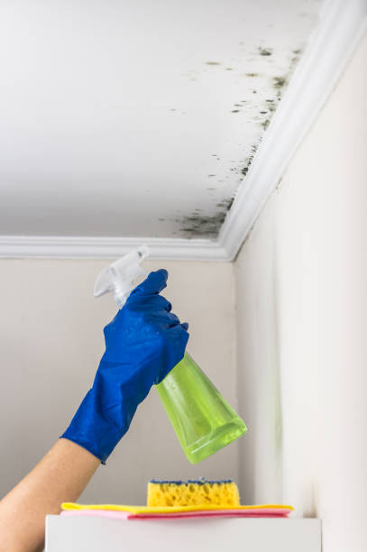 Best Crawl Space Mold Removal  in Plymouth, OH